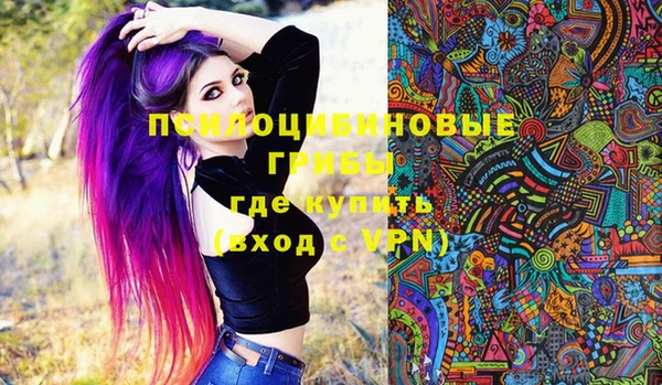 шишки Пересвет