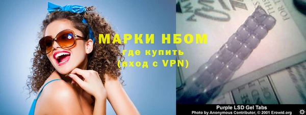 шишки Пестово