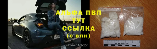 шишки Пестово